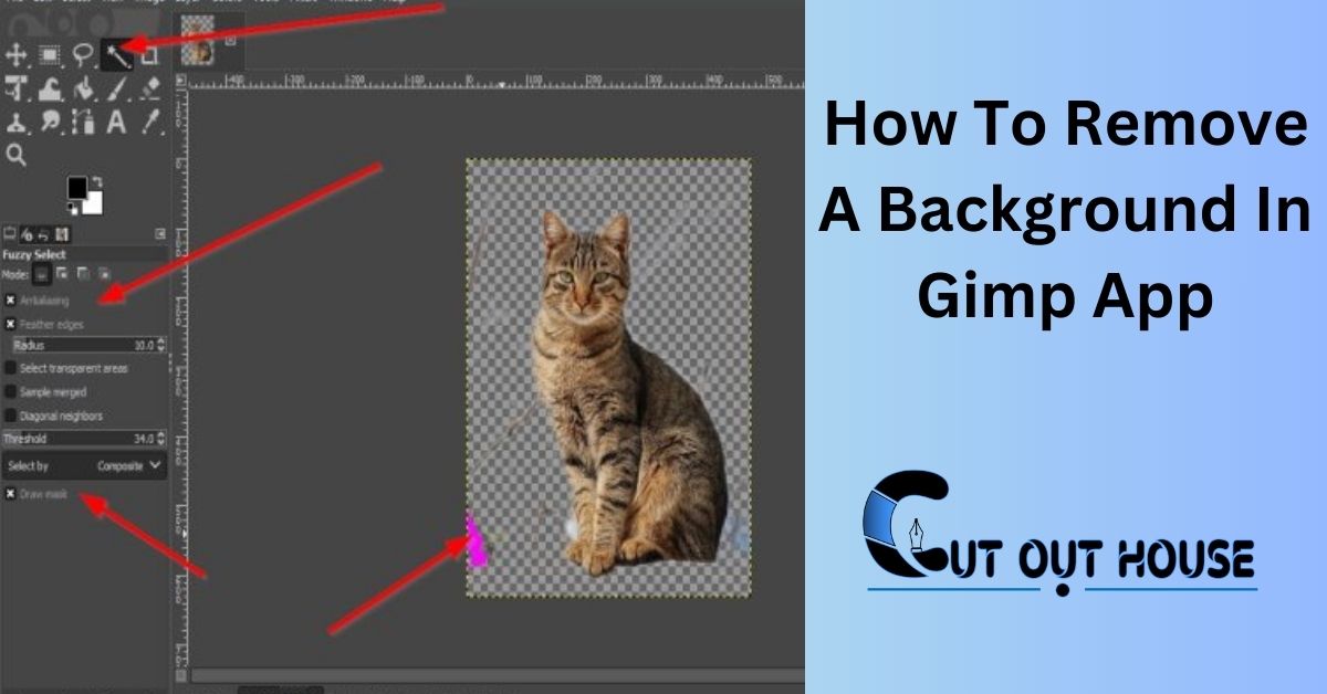 How To Remove A Background In Gimp App