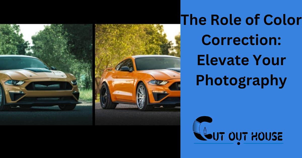 The Role of Color Correction: Elevate Your Photography